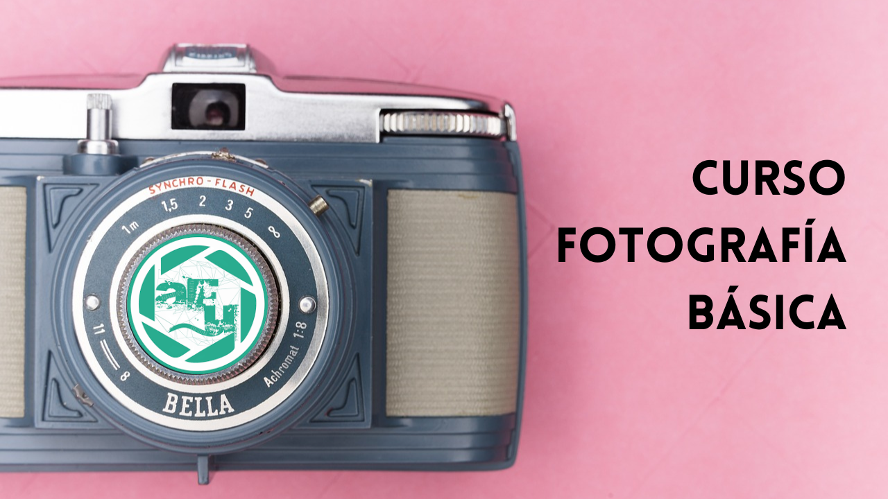 Curso de Fotografía Básico